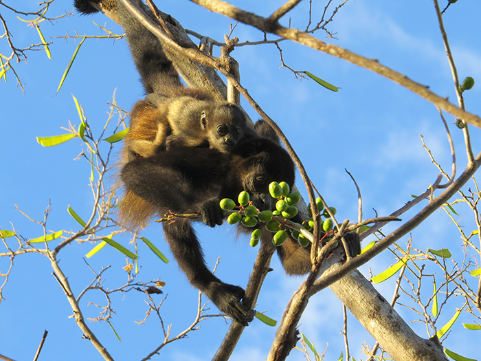 Top 5 Reasons to Backpack Costa Rica