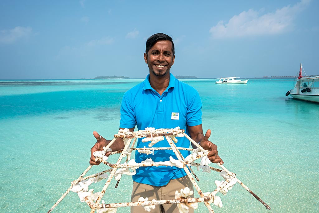 protecting coral reef Maldives