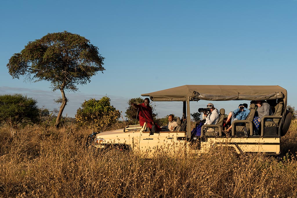 Tanzania Safari Experience with Yellow Zebra Safaris