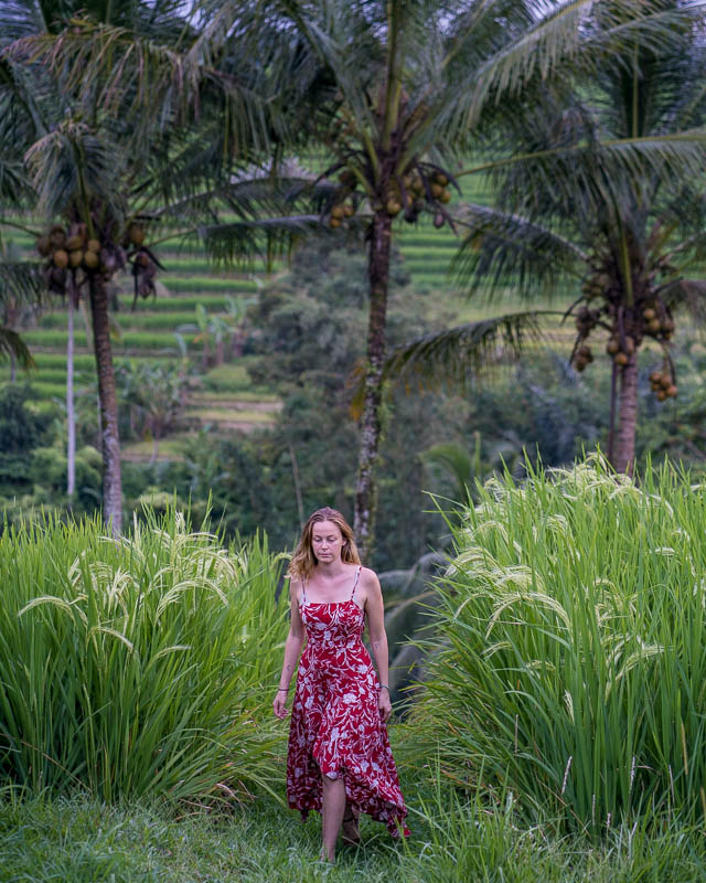 Bali rice terrace Instagram shots
