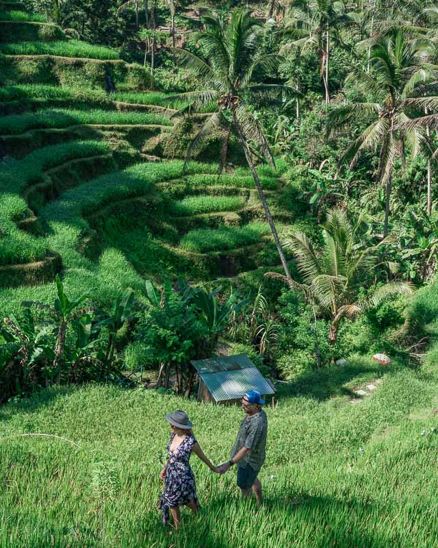 Tegalalang rice terraces in Bali