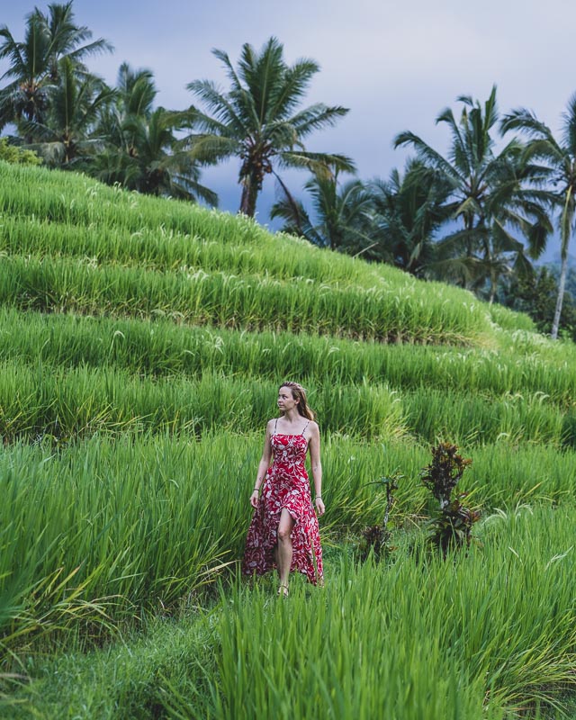 best rice terraces in Bali
