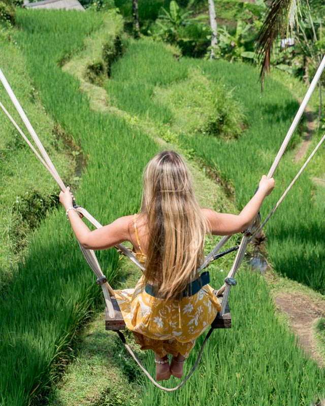 rice terrace swings Ubud